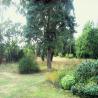 images/Schweden/Schweden 2009/IMG_4402.jpg